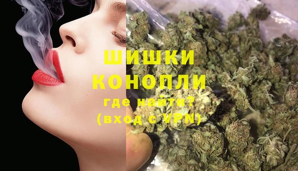 сатива Пестово