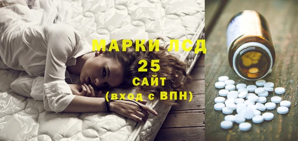 ГАЛЛЮЦИНОГЕННЫЕ ГРИБЫ Осинники